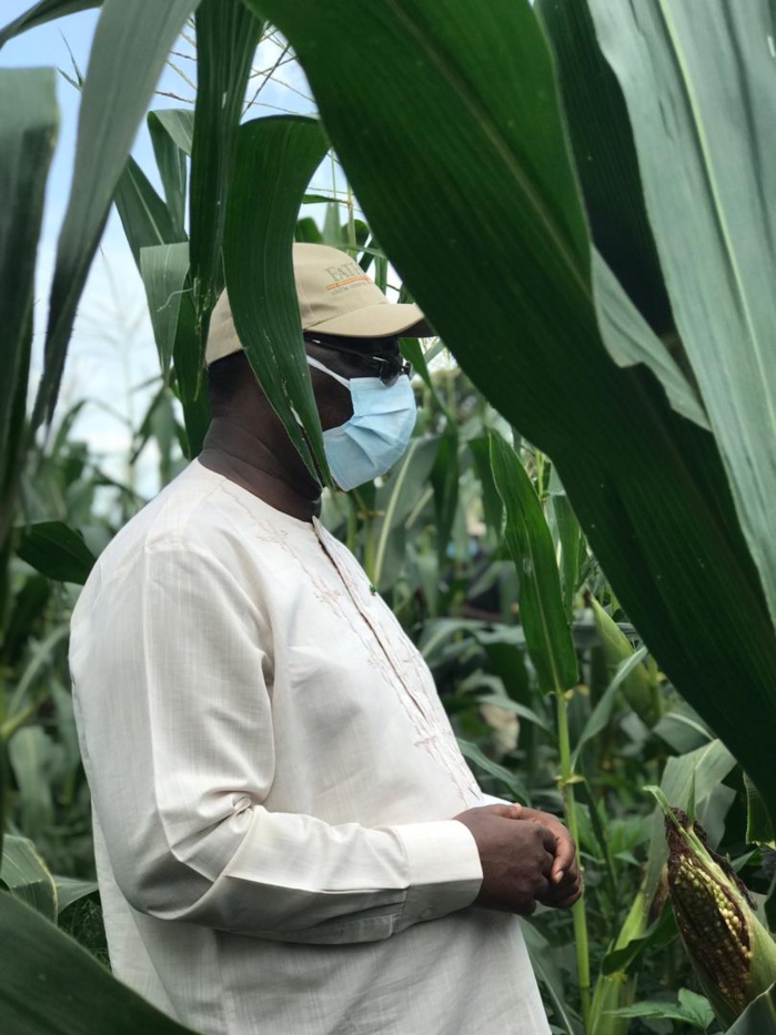 VIDEO+PHOTOS/ Visite économique: Le Président Macky Sall sur les routes du Nioro en direction des champs