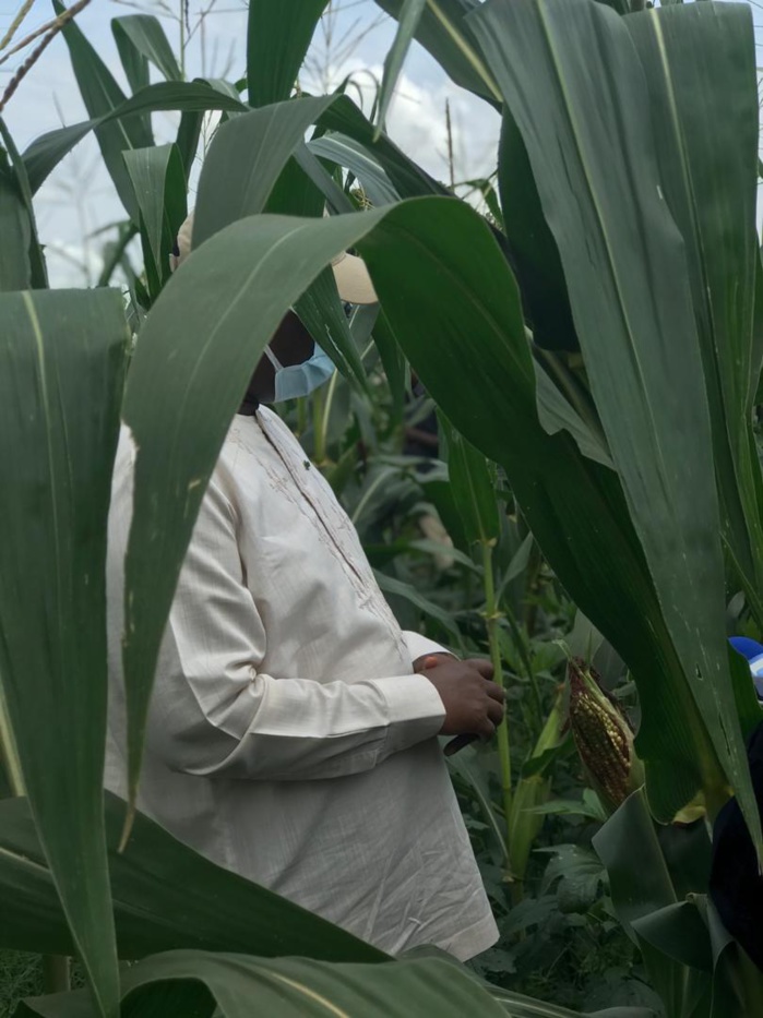 VIDEO+PHOTOS/ Visite économique: Le Président Macky Sall sur les routes du Nioro en direction des champs