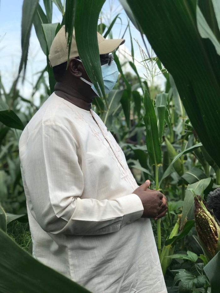 VIDEO+PHOTOS/ Visite économique: Le Président Macky Sall sur les routes du Nioro en direction des champs