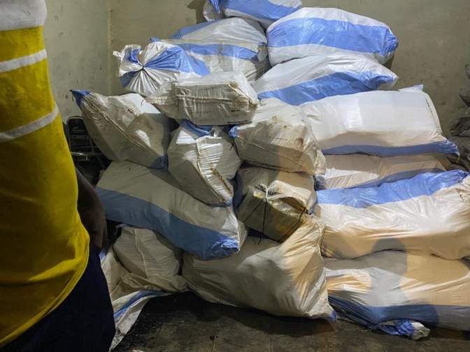 La Douane saisit 2, 282 t de chanvre indien à Koungheul