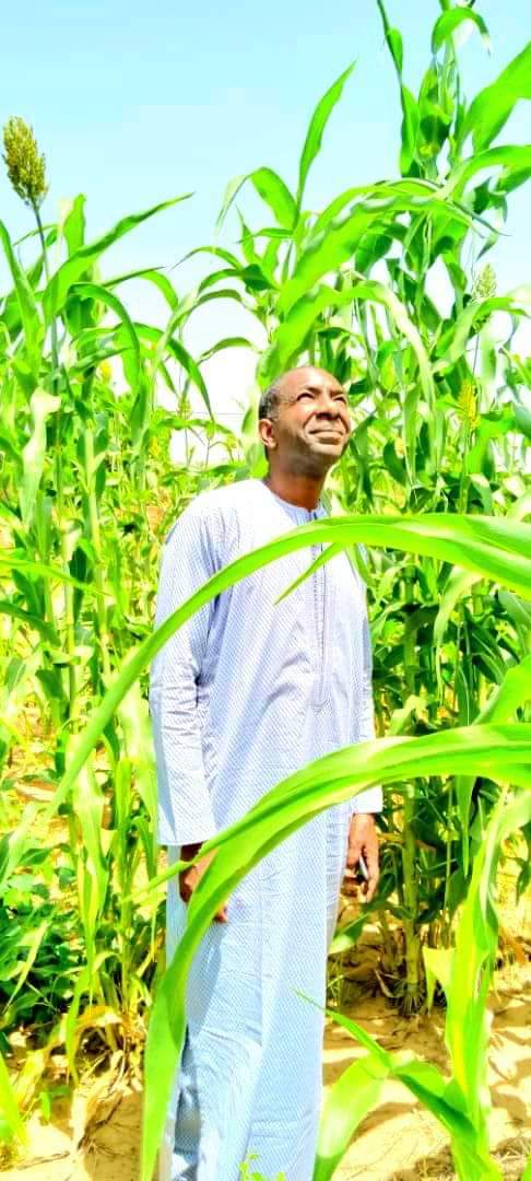 L'humilité du Dg de l'Artp, Abdoul Ly n'est plus à prouver, sur ces photos on le voit au champ avec les gens du village. Regardez!