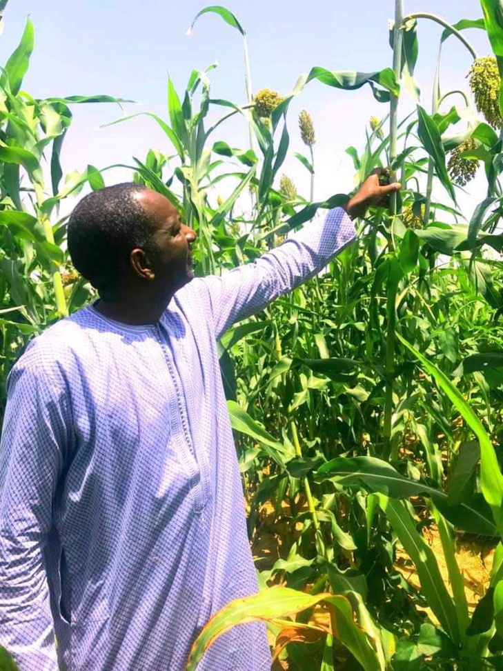 L'humilité du Dg de l'Artp, Abdoul Ly n'est plus à prouver, sur ces photos on le voit au champ avec les gens du village. Regardez!