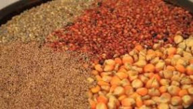 Résidus et contamination dans les produits alimentaires: les Sénégalais en danger de mort !