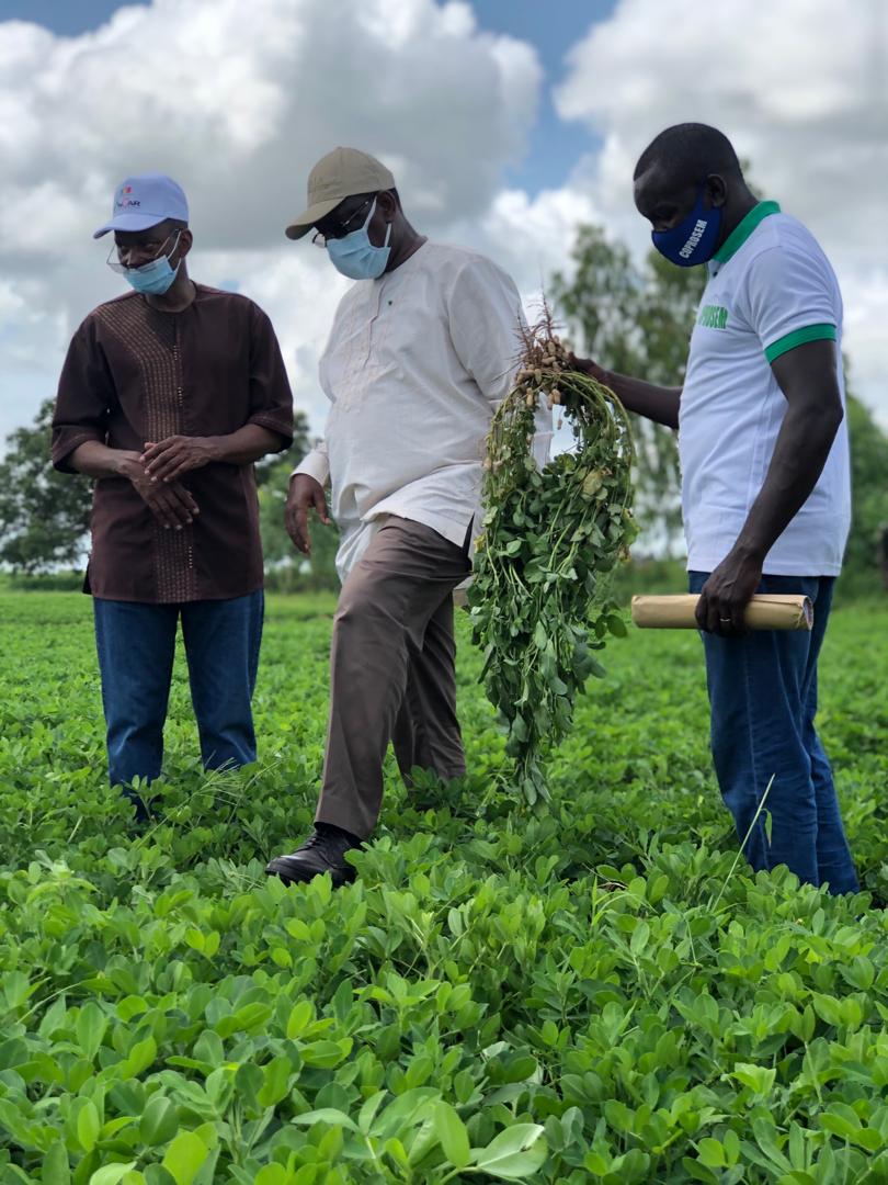 Macky Sall et l’agriculture: la sainte alliance (Par Mounir SY)