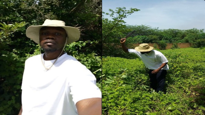 SONKO JOUE AVEC LE FEU ! Ousmane Sonko a encore « trop parlé »