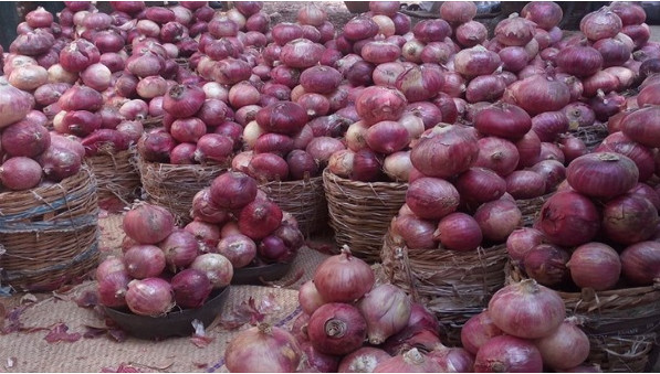 Pour soutenir l’agriculture et créer des emplois au Sénégal: IFC et l’AATIF investissent dans une usine de déshydratation d’oignons