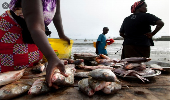 Journée internationale de l’alimentation: Macky Sall engage ses ministres à consolider la dynamique