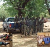 Kédougou. Opération ‘diouratigui’ : des armes et 24 kg de chanvre indien saisis par les gendarmes.