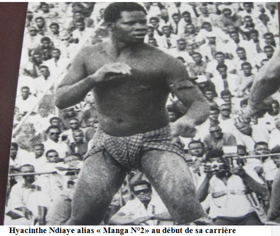 Lambi demb - Hyacinthe Ndiaye “Manga N°2” (Écurie de sérère): L’incontestable roi des arènes Lambi demb - Hyacinthe Ndiaye “Manga N°2” (Écurie de sérère): L’incontestable roi des arènes