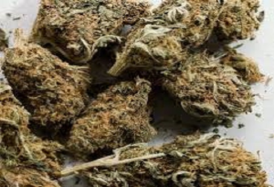 Ziguinchor: Comment le coiffeur trafiquant de drogue a voulu tromper la vigilance des policiers