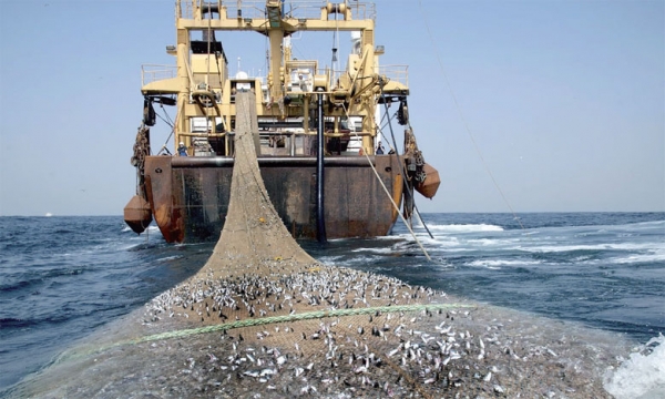 Secteur de la Pêche : L’UNAPAS demande à Macky d’arrêter l’octroi de licences