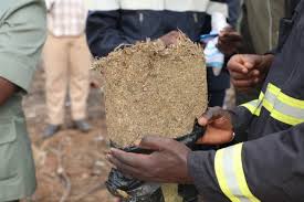 Trafic de drogue: Une quarantaine de kilos de yamba saisis par l'Ocrtis