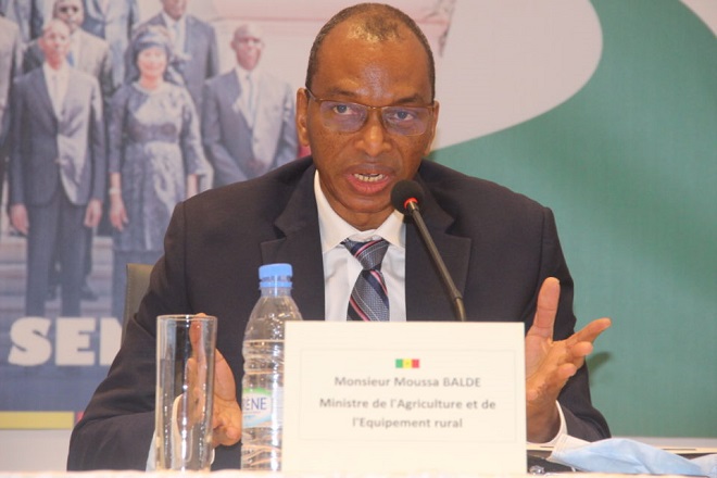 Hausse de 12,41% du budget du Ministère de l’Agriculture et de l’Equipement rural: Le détail du crédit de son exercice 2021