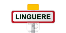 Linguère : Arrestation d’une bande de malfaiteurs composés d’ex militaires