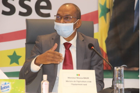Campagne arachidière: Moussa Baldé annonce la disponibilité de 100.000 tonnes de semences certifiées et homologuées