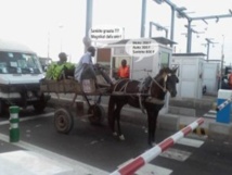 Insouciance à outrance : Les charrettes sur l’autoroute, c’est devenu banal !