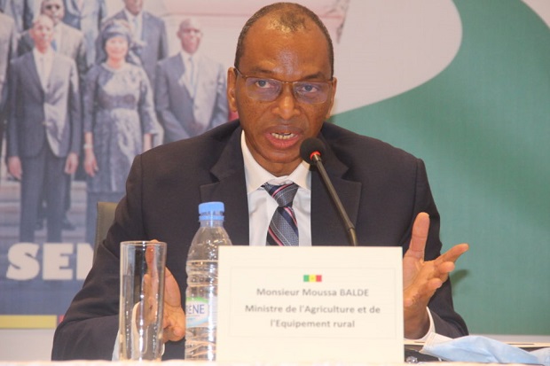 Ambition d’autosuffisance en riz ratée pour le Sénégal: Moussa Baldé, le ministre accuse les experts