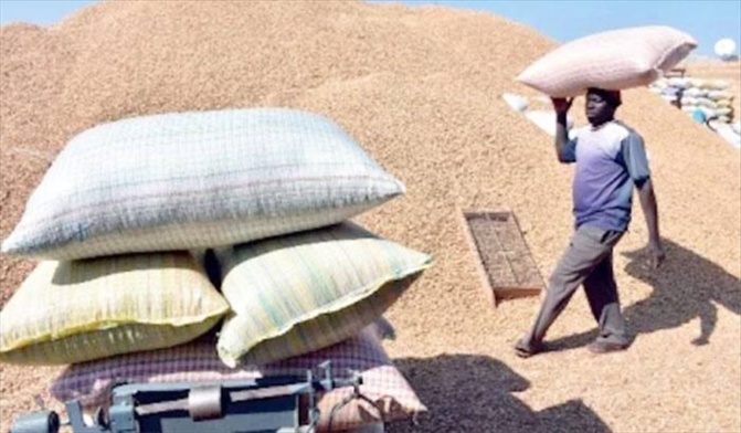 Campagne agricole: "Macky Sall a bien pensé à l'intérêt du monde rural en..."