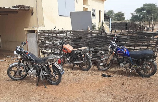 Coup de filet de la gendarmerie à Ourossogui: Plus de 200 kg de chanvre indien saisis, 1 individu arrêté, 2 autres en fuite
