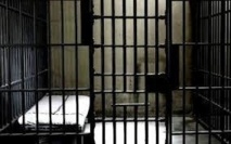 Les six «Y en a marristes» de Dahra libres 