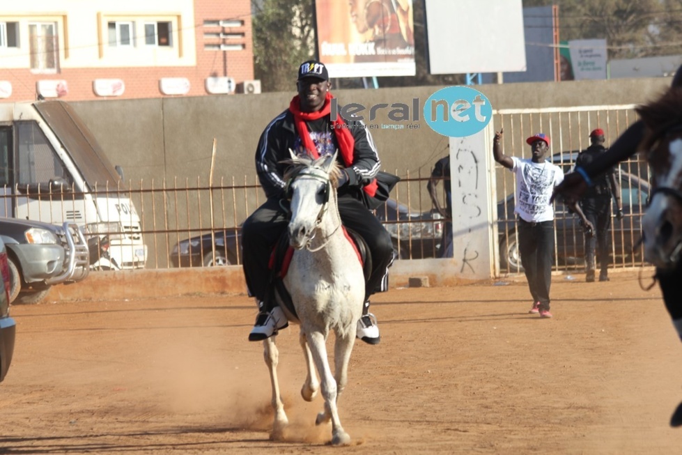 Gouye-Gui: Le "show man" sur son cheval