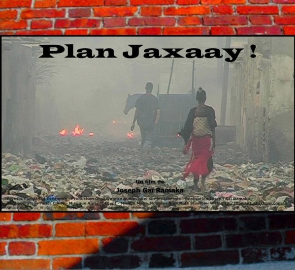 AUDIT DU PLAN JAXAAY : La Dic face à l’équation des sociétés écrans