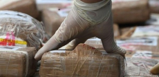 Saisie record de drogue à Ngaparou: Sur l'odeur des 675 kilos de cocaïne interceptés