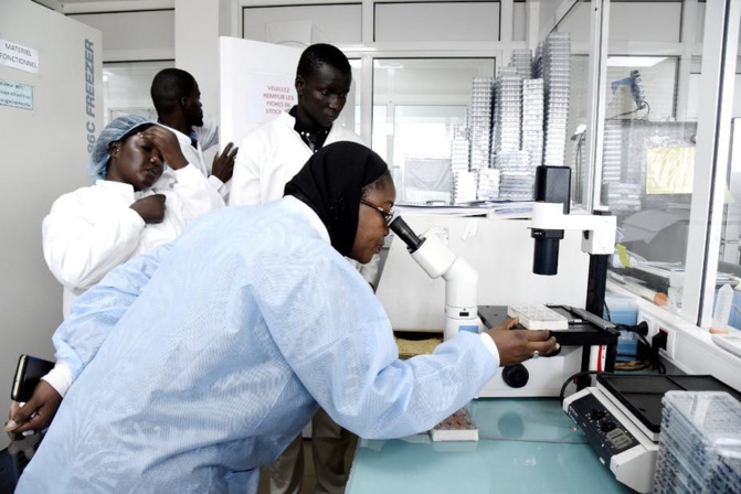 Covid-19: 506 morts pour le Sénégal, 02 millions dans le monde, le lycée Jean Mermoz touché avec...