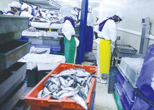 Keur Mousseu: Vive polémique autour de l'implantation d'une poissonnerie