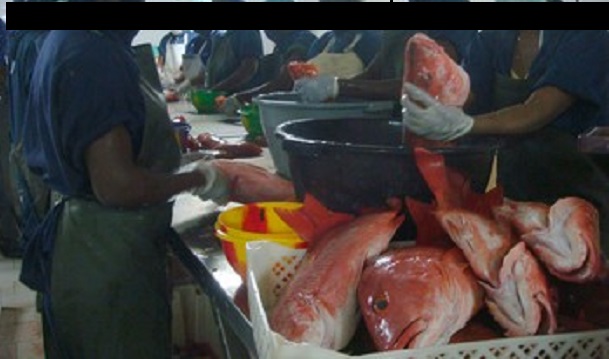 Tension à Keur Mousseu: Vive polémique autour de l’implantation d’une poissonnerie