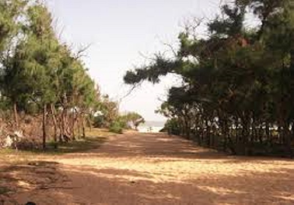 Zone de la Bande "Filaos" Lompoul-Potou: Le point de la souffrance !