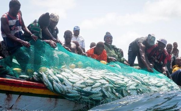 Projets d’envergure et de réforme du secteur de la pêche: Cinq actes majeurs sous le régime de Macky