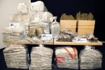 Trafic de drogue : Une Sénégalaise tombe à Lagos avec de l’héroïne cachée dans ses parties intimes