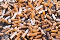 Lutte contre le tabagisme : Les députés empruntent la voie de la sensibilisation