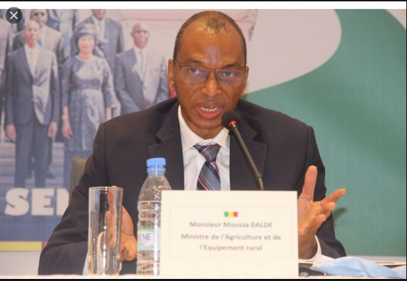 Kolda / Pr. Moussa Baldé, Ministre de l’Agriculture: Un adepte de logique dans sa démarche politique