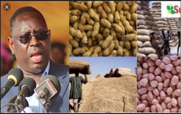Campagne de commercialisation arachidière: Le Président Sall salue son bon déroulement