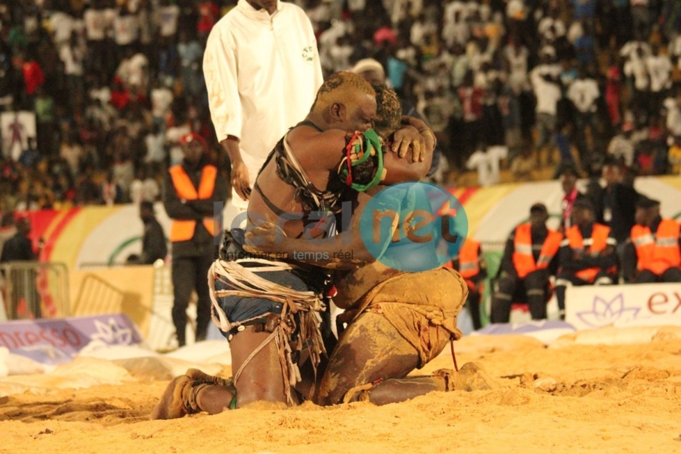 [Photos] Gouye Gui s'abat sur Ness, Abdou Diouf humilie Thieck