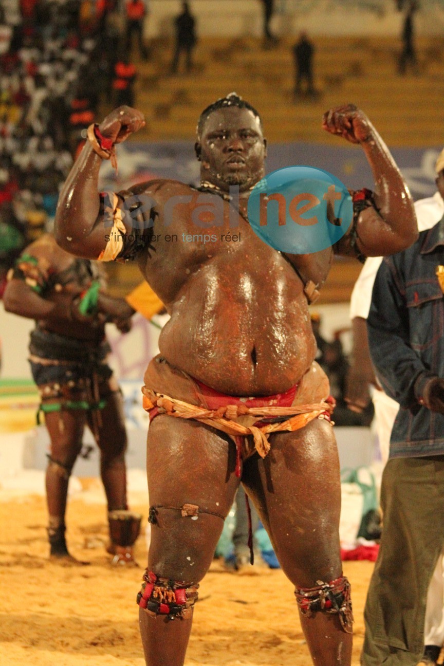 [Photos] Gouye Gui s'abat sur Ness, Abdou Diouf humilie Thieck
