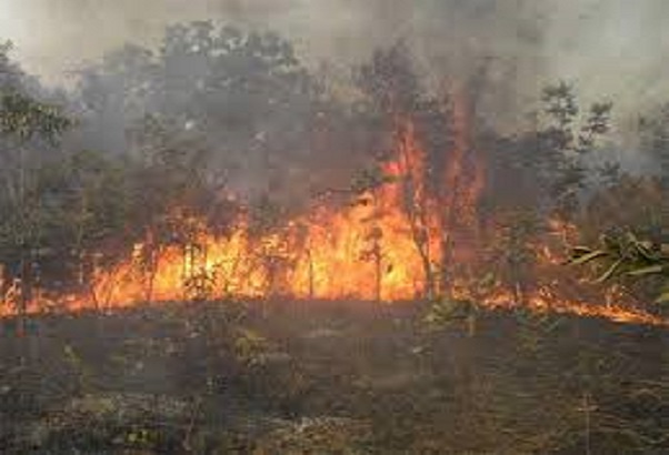Sédhiou: Début de la campagne de riposte contre les feux de brousse