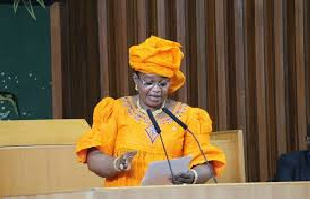 Assemblée nationale: Aïda Mbodji démonte la procédure, mais est submergée par des disputes