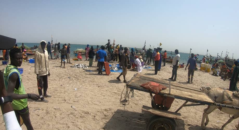 Djiffer, à la découverte du carrefour des pêcheurs Djiffer, à la découverte du carrefour des pêcheurs