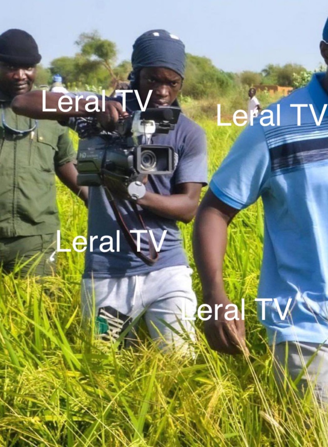 Ibrahima Fall , Le Cameraman de Jotna est libre