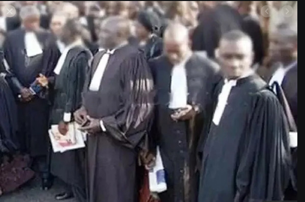 Saccages et menaces de mort: Le Conseil de l'Ordre des avocats menace