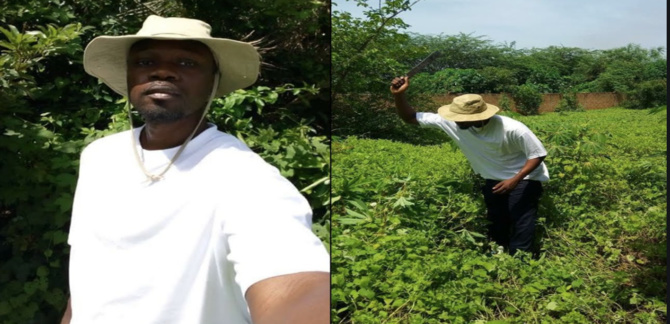 Ousmane Sonko: « J’invite les membres du Mfdc à déposer les armes »