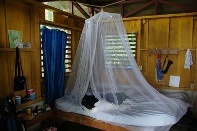 Lutte contre le paludisme : La solution du district sanitaire de Koumpentoum