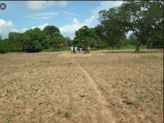 Litige foncier à Kébémer: 50 hectares attribués à un promoteur agricole, réclamés