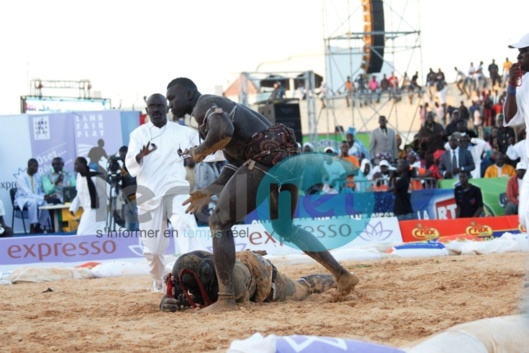 Malick Niang: "J'ai vu la chute de Sa Thiès plusieurs fois en rêve"