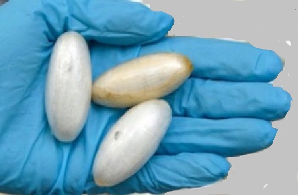 Madame continuait le business de son mari emprisonné: Coincée avec 3 boulettes de cocaïne et 1 pierre de crack
