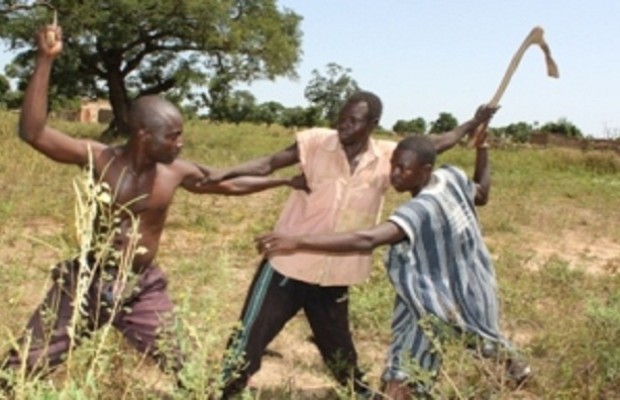 Alerte au Waalo : Vive tension notée entre paysans et éleveurs