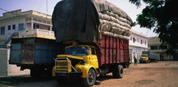 Fermeture de la frontière Sénégal - Guinée: Dégâts collatéraux de la brouille Macky-Alpha Condé ?